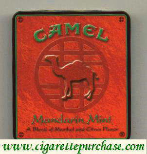 Discount Camel Exotic Blends Mandarin Mint cigarettes metal box