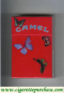 Discount Camel collection version with butterflys cigarettes hard box