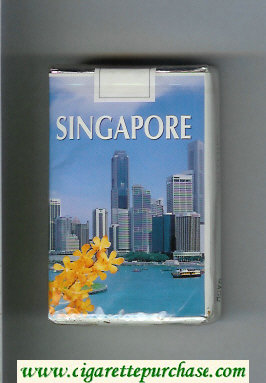 Mild Seven Singapore Lights cigarettes soft box