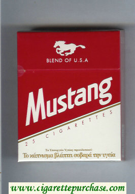 Mustang Blend of USA 25 cigarettes hard box