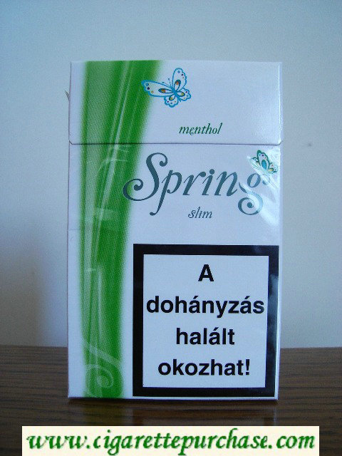 Spring mentol superslim Cigarettes soft box