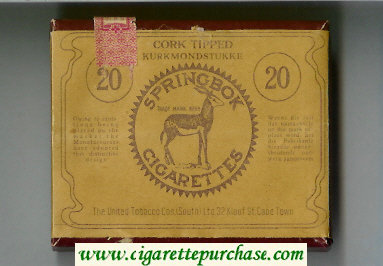 Springbok Cork Tipped cigarettes wide flat hard box
